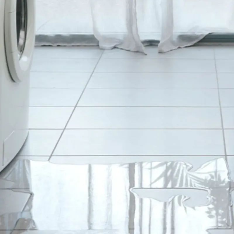 Appliance Leak Cleanup in New Waverly, TX