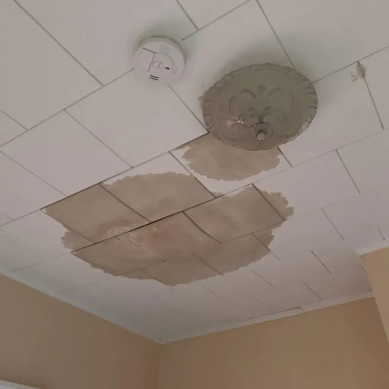 Ceiling Water Damage Repair in New Waverly, TX