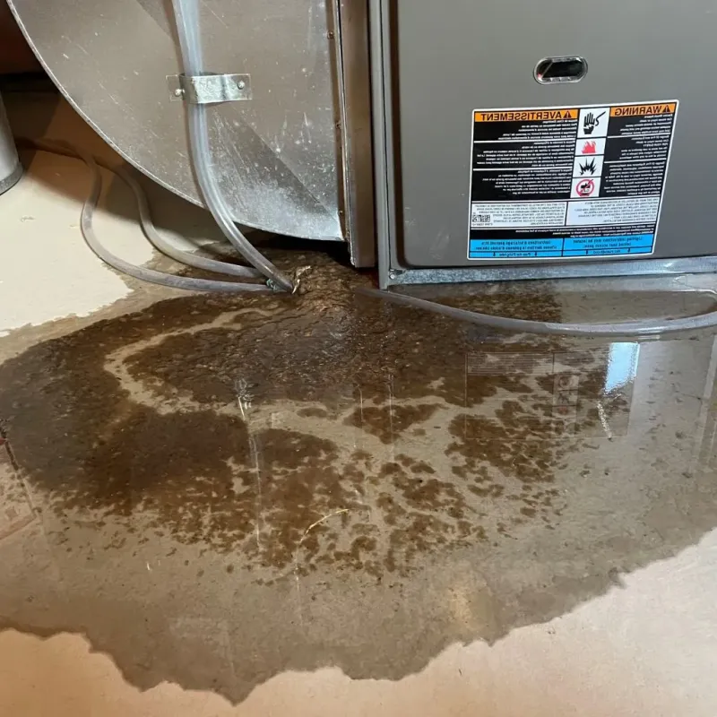 Pipe Burst and Leak Restoration in New Waverly, TX