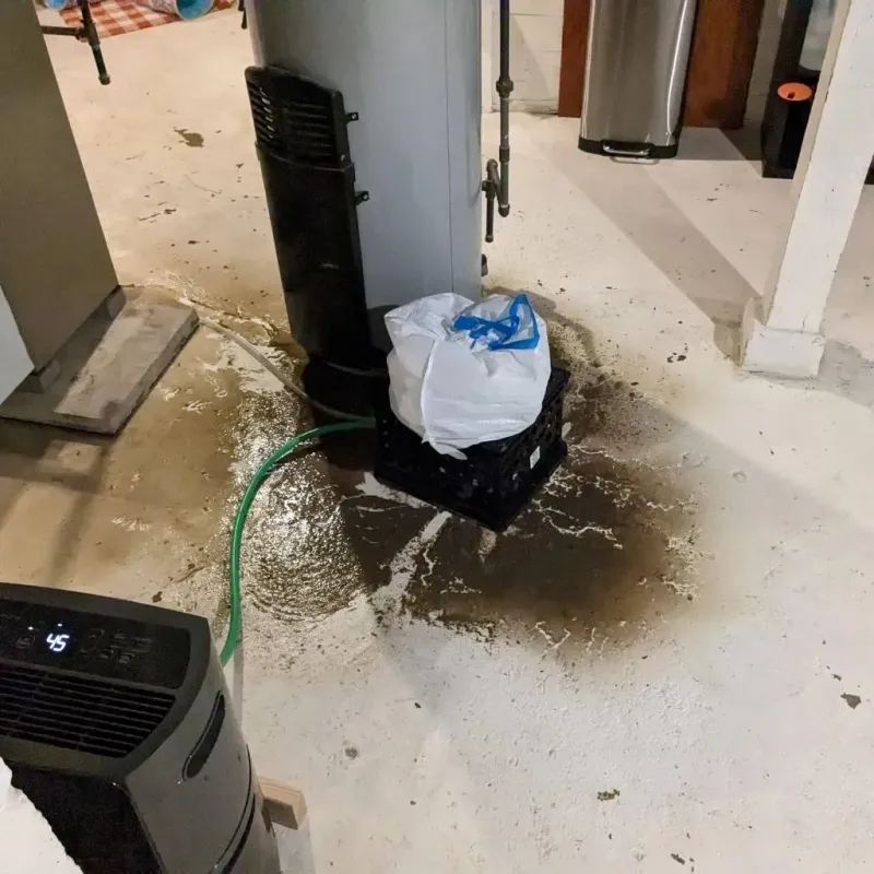 Sewage Backup Cleanup Service in New Waverly, TX